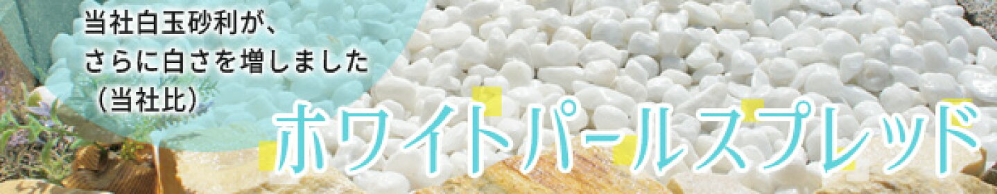 ホワイトパールスプレッド