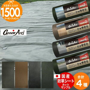 y11/1͓Im21!ő100%|CgLbVobNzyGg[őSi|Cg10{zmGreenArts550JP+430JP/BW+430JP/BK+330JPn[Y4Tv] hV[g Tv  h V[g J