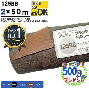 yGg[őSi|Cg10{zyyV1ʎ܁zy100āzy0.4mmz 3`5NiIj hV[g vebNX 125BB 2m×50m Uo[ V[g hV[g K[f^Cv PT-125BB