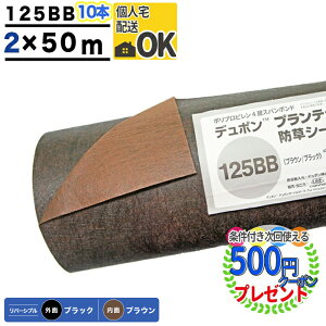 yGg[őSi|Cg10{zlz y10{/1000ĕzy0.4mmz ϗpN:3`5NiIj vebNX 125BB 2m×50m Uo[ hV[g @ _ 128bb PT-125BB2.0