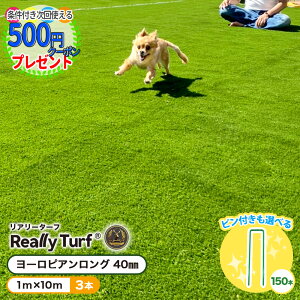 yGg[őSi|Cg10{z[悠] m3{/30ān lH 10Nȏ lH  A[^[t [sAO 40MM 1Mx10M lH [ŐV[g ӂӂ @\