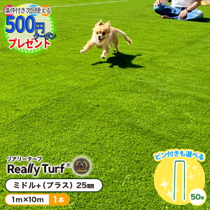 y11/10͓Im21!ő100%|CgLbVobNzyGg[őSi|Cg10{zyyV1ʎ܁zlz lH y10āz10Nȏ lH  A[^[t X^