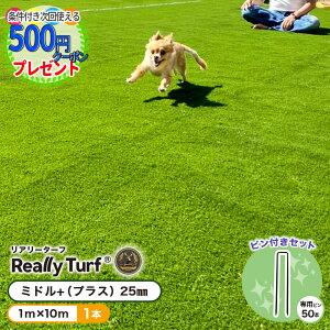 y11/10͓Im21!ő100%|CgLbVobNzyGg[őSi|Cg10{zyyV1ʎ܁zlz y10+ps50{zϗpN:10Nȏ@12̓ lH 