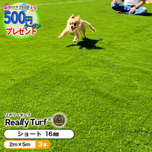 ySSP3{z[yV1ʎ] m3{/30ānlz ϗpN:10Nȏ@12̓ lH  A[^[t V[g 16MM 2Mx5M lH lHŃ[ St p^[ lH