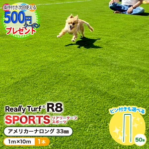 y11/10͓Im21!ő100%|CgLbVobNzyGg[őSi|Cg10{z[N[|t]y1{/10ĕzϋv10Nȏ R8 X|[c A[^[t AJ[iO 1m