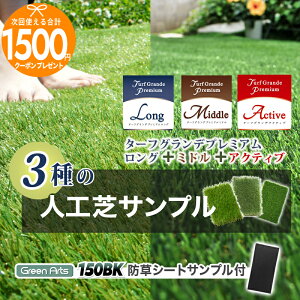 ySi|Cg10{ΏۓX܁vGg[z[ lH 3 Tv ] lH ^[tOfO35mm + ~h25mm + ANeBu16mm + hV[g GreenArts150BK t JbgTv 10×14cmlH2