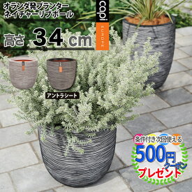 楽天市場 植木鉢 おしゃれ 軽い プランター 植木鉢 プランター ガーデニング 農業 花 ガーデン Diyの通販 楽天市場 植木鉢 おしゃれ 軽い プランター 植木鉢 プランター ガーデニング 農業 花 ガーデン Diyの通販