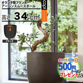 楽天市場 植木鉢 おしゃれ 軽いの通販 楽天市場 植木鉢 おしゃれ 軽いの通販