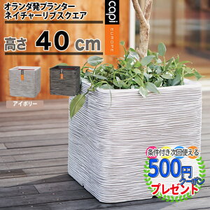 鉢 プラ 穴なしの人気商品 通販 価格比較 価格 Com