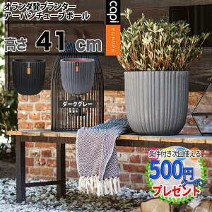 鉢 花壇の人気商品 通販 価格比較 価格 Com