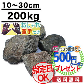 楽天市場 ドライガーデンの通販