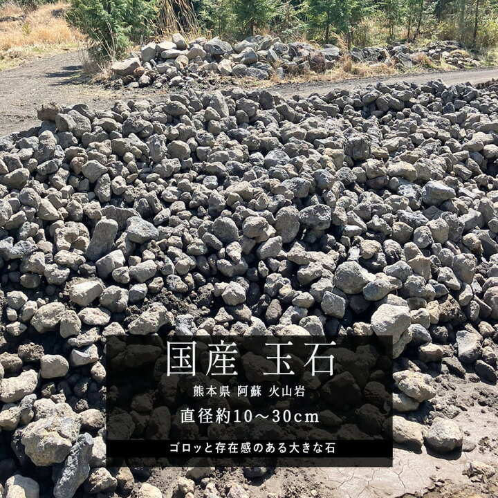 楽天市場】熊本県 阿蘇火山岩 直径約10〜30cm 約100kg 溶岩 溶岩石 
