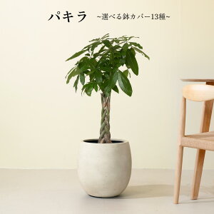 yIׂAؔZbgzS҂łĂ₷ϗtAI pL ^ ϗtA  t A CeAO[   S Ă₷ rO Q 킢 Mtg 