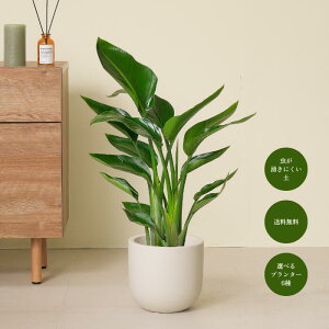 I[KX^ Xg`A 3 7  Aؔ S҂łĂ₷ϗtAI ϗtA^  t A CeAO[   S Ă₷ rO Q 