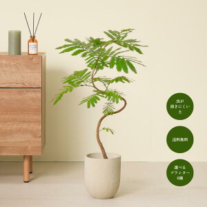 Go[tbV 7  Aؔ S҂łĂ₷ϗtAI ϗtA^  t A CeAO[   S Ă₷ rO Q 킢 M