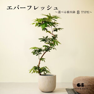 yIׂ锫Jo[zS҂łĂ₷^ϗtAIGo[tbV Got S Ȃ ^  t Jo[ CeAO[   S Ă₷ r