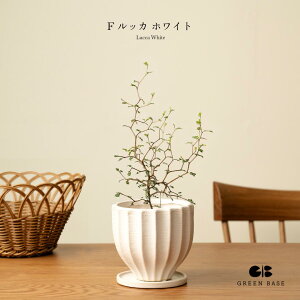 y13ނIׂAؔZbgzďS҂łĂ₷~jϗtAI\tH \tHEgxCr[ 3 ϗtA  t A CeAO[   S