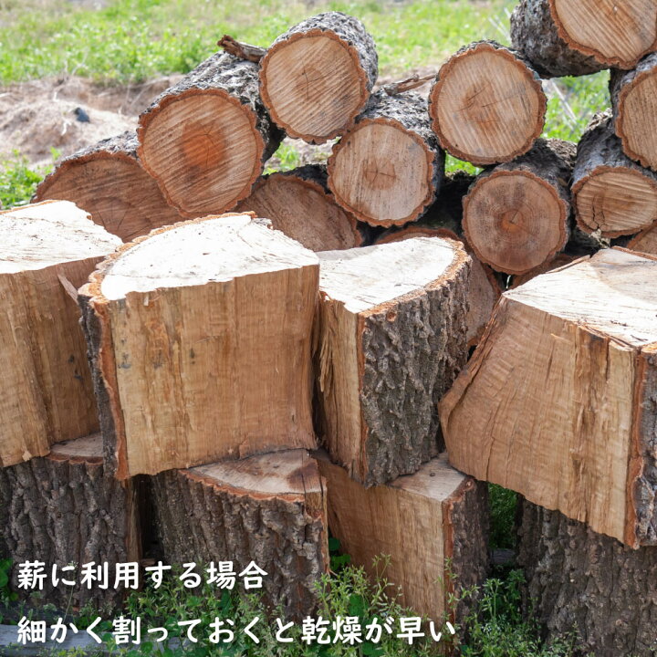 薪 2 クヌギの木