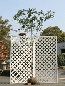 AIL 2.5m In 2{ c
