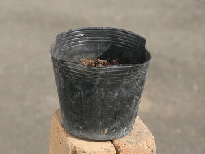 M{EV ~jbg} 12cm|bg c