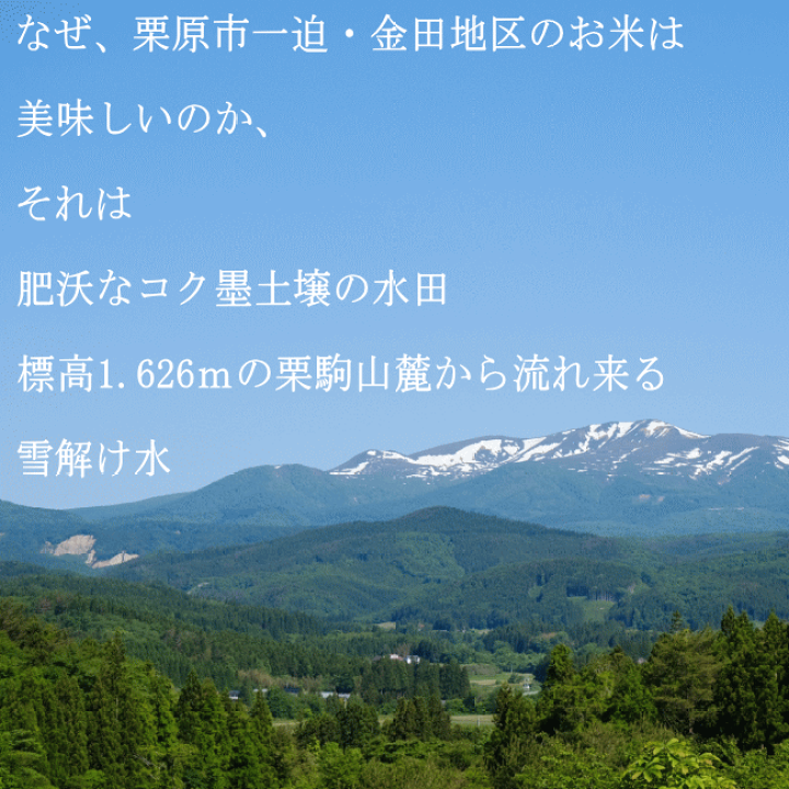 楽天市場】【数量限定・おひとり様1袋まで】【令和6年宮城米 楽天市場】【数量限定・おひとり様1袋まで】【令和6年宮城米