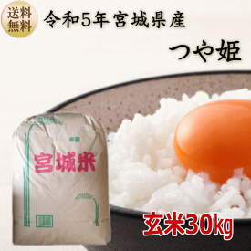 【令和5年宮城米】 つや姫 ギフト 玄米30kg×1袋 小分けできます！ 【宮城県_物産展】【送料無料】【沖縄への送料は別途1,320円（税込）加算されます】宮城県WEB物産展 お米 新米 贈答 玄米 30キロ