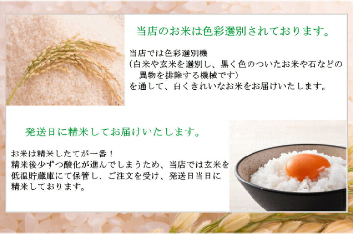 楽天市場】【令和7年宮城米】 つや姫 ギフト 玄米30kg×1袋 小分けでき 