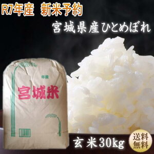 yVė\zyߘa7N{āz {錧Y Mtg 30L ЂƂ߂ڂ  30kg 1 ł܂I y{錧_YWz {錧WEBYW   yz yւ͕̑ʓr1,320~i