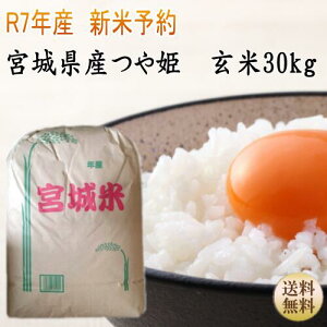 yVė\zyߘa7N{āz P Mtg 30kg×1 ł܂I y{錧_YWzyzyւ͕̑ʓr1,320~iōjZ܂z{錧WEBYW   