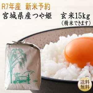 Vė\yߘa7N{āzP 15kg×1ܐĂv܂I オ9{錧Yy{錧_YWzyz{錧WEBYW