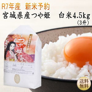 Vė\yߘa7N{āzP 4.5kg オ3{錧Yy{錧_YWzyz|Cg