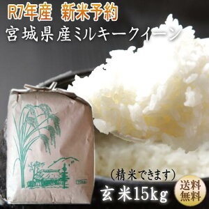 Vė\ ߘa7NY ~L[NC[ 15kg×1ܐĂv܂Iオ9{錧Yy{錧_YWzyz{錧WEBYW