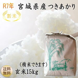 Vāyߘa7N{āz 15kg×1 Ăv܂Iオ9{錧Yy{錧_YWzyz{錧WEBYW |Cg