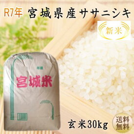 新米【令和7年宮城米】 贈答 玄米 ギフト 30kg ササニシキ 玄米30kg 小分けできます！1等最大100％ポイントバック！ 宮城県産 お米 【宮城県_物産展】【送料無料】【沖縄への送料は別途1,320円（税込）加算されます】宮城県WEB物産展