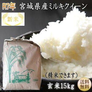 V ߘa7NY ~L[NC[ 15kg×1ܐĂv܂Iオ9{錧Yy{錧_YWzyz{錧WEBYW