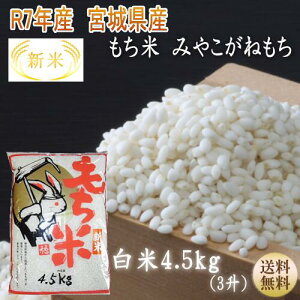 NiIV ߘa7NY y{āz  ݂₱˂ 4.5kgi3j {錧Yyz