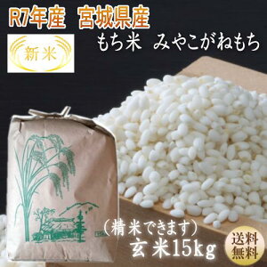 NiIV ߘa7NYy{āz  ݂₱˂ 15kgiĂƐオ9j {錧Yyz{錧WEBYW 