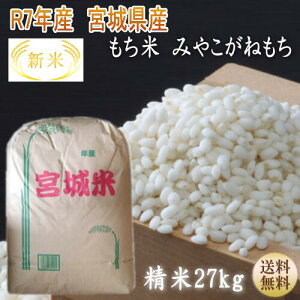 �N���������i�I�V�� �ߘa7�N�Y�y�{��āz�݂₱���˂��������Ĕ���27kg×1�܏������ł��܂��I�{�錧�Y�y�{�錧_���Y�W�z�y���������z�y����E�����ւ͕ʓr������(����ւ̑�����1,320�~�i��