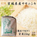 年始も応援価格続行中！【令和7年宮城米】ササニシキ 玄米15kg×1袋精米も致します！ 炊き上がり約9升分宮城県産【宮城県_物産展】【送料無料】宮城県WEB物産展 ポイント