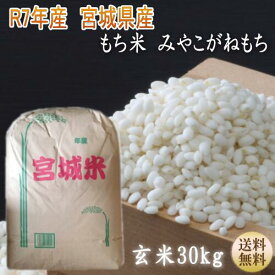 年始も応援価格続行中！【令和7年宮城米】みやこがねもちもち米玄米30kg×1袋小分けできます！宮城県産【宮城県_物産展】【送料無料】【沖縄・離島へは別途送料が加算(沖縄への送料は1,320円（税込）加算されます)】宮城県WEB物産展 お正月