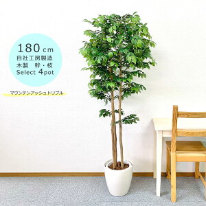 大型フェイクグリーン マウンテンアッシュトリプル 高さ1.8m 鉢選択 祝い札付 幹木製 大型人工観葉植物 光触媒付 送料無料北海道九州 沖縄離島除 東京工房受注生産品 4営業日以内発送予定(
