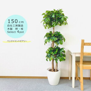 tFCNO[ ^ xW~gsA[gv 1.5m jDt Jo[4ޑI ؐ  kCBꗣ s ^lHϗtA G}t H[