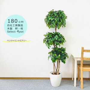 tFCNO[ ^ xW~gsA[gv 1.8m 4ޔJo[I jDt ؐ  kCBꗣ s ^lHϗtA G}t H[