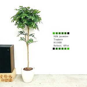 tFCNO[ ^ VNWX~gsA[ 1.5m I jDt ؐ ^lHϗtA G}t kCB ꗣ H[󒍐Yi 4cƓȓ\