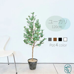 tFCNO[ [J 120cm ^ FI G} ؐ lHϗtA  A[eBtBVO[ A Aؔ