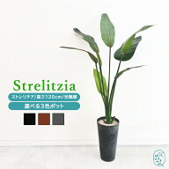 フェイクグリーン ストレリチア 高さ120cm 大型 観葉植物 造花 おしゃれ インテリアグリーン 北欧風 鉢色…
