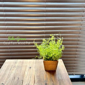 コーラルファーン 木の鉢 フェイクグリーン ミニ 卓上 観葉植物 フェイク 光触媒 防菌 人工観葉植物 造花 人工 観葉植物 おしゃれ リアル 高品質 インテリアグリーン 鉢植え 植木鉢
