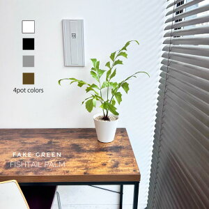 tBbVe[p[  50cm~60cm tFCNO[  FI NWNV ϗtA tFCN G} h lHϗtA  lH ϗtA  A i CeAO