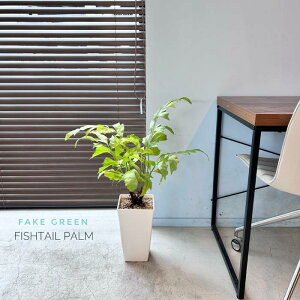 tBbVe[p[  60cm~70cm tFCNO[ ^ ϗtA tFCN G} h lHϗtA  lH ϗtA  A i CeAO[ A