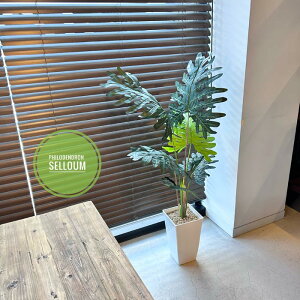 Z[tB tFCNO[ ^ 110cm   ϗtA tFCN G} h lHϗtA  lH ϗtA  A i  a@ @ xe ItBX 